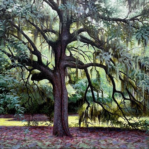 Southern Beauty